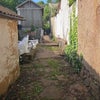 Photo 5: Shared courtyard garden