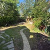 Photo 2: Garden