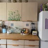 Photo 6: Kitchen 