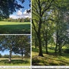 Photo 12: Opposite the house is a beautiful park