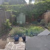 Photo 9: Back garden