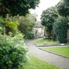 Photo 16: Idyllic Rear Courtyard 