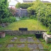 Photo 7: Back Garden 2026