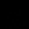Photograph of Sakshi