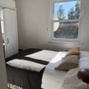 Photo 5: Flat