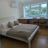 Photo 2: King sized room: £850 pm