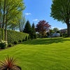 Photo 8: Living Room View 