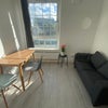 Photo 7: sunny living room