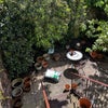 Photo 4: Steps down to back garden