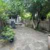 Photo 3: Garden