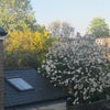 Photo 4: View from Bedroom