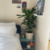 Photo 6: Lots of cozy mood lights 