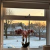 Photo 6: View from single room