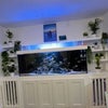 Photo 7: Fish tank in dining room/ kitchen 