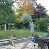 Photo 9: Very large wrap around garden, extends further than photo