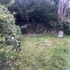Photo 3: own section of garden