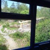 Photo 2: Part of the back garden