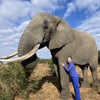 Photo 6: This is real - I love elephants!!