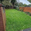 Photo 7: garden