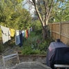 Photo 7: Garden/Patio