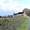 Photo 12: Cotswold Merrymouth