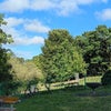 Photo 8: Acton Park
