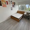 Photo 5: £242pw with all bills included 