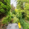 Photo 9: Large Garden