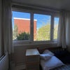Photo 5: Window View Room 1