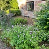 Photo 8: Our home has 10 acres of gardens and fields