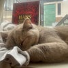 Photo 2: She’s sleeping