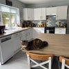Photo 7: Kitchen