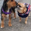 Photo 3: Tilly & Zeus