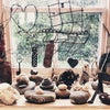 Photo 4: Found objects