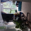 Photo 4: Living Room