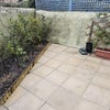 Photo 2: Patio Garden 