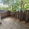 Photo 8: Backyard