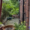 Photo 4: View of backyard