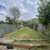 Photo 4: garden