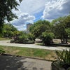 Photo 9: London Fields Park 