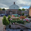 Photo 7: Garden