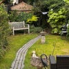 Photo 6: Garden