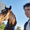 Photo 2: The horse