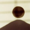 Photograph of Daebie