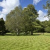 Photo 9: Gardens 