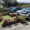 Photo 7: Garden / Car Park
