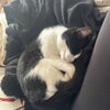Photo 2: this is mars my nearly 1 year old babygirl
