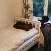 Photo 4: Small room