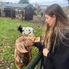 Photo 5: Lover of animals (respectfully outside the home, ofc)