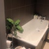 Photo 4: Master bathroom 